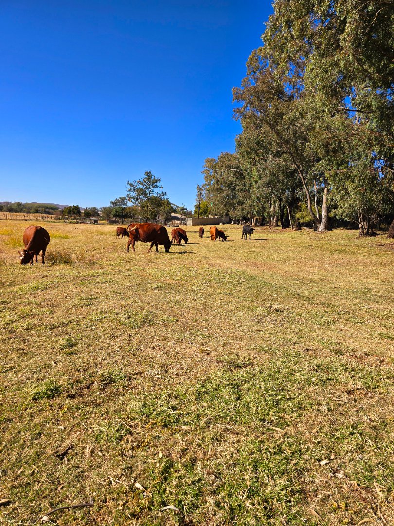 Commercial Property for Sale in Klerksdorp Rural North West